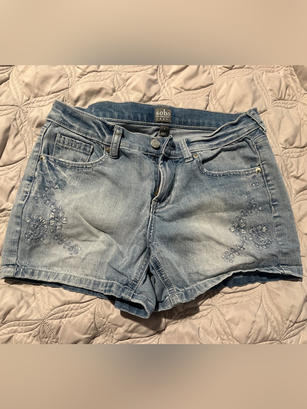 New York & Company Light Blue Embroidered Denim Shorts